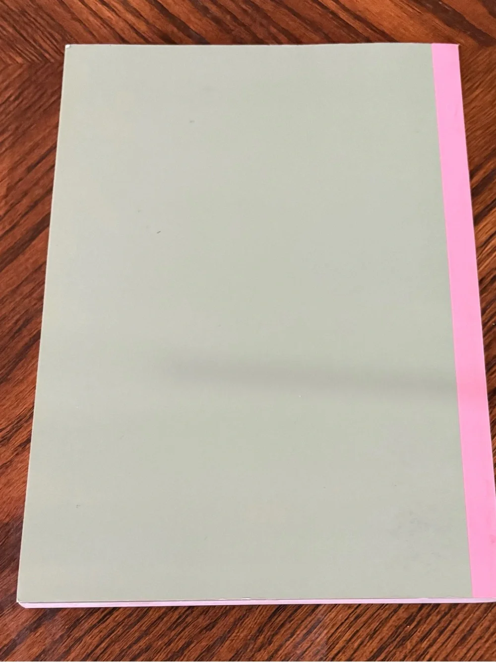 Capricorn Pink & Mint Journal Notebook - NEW